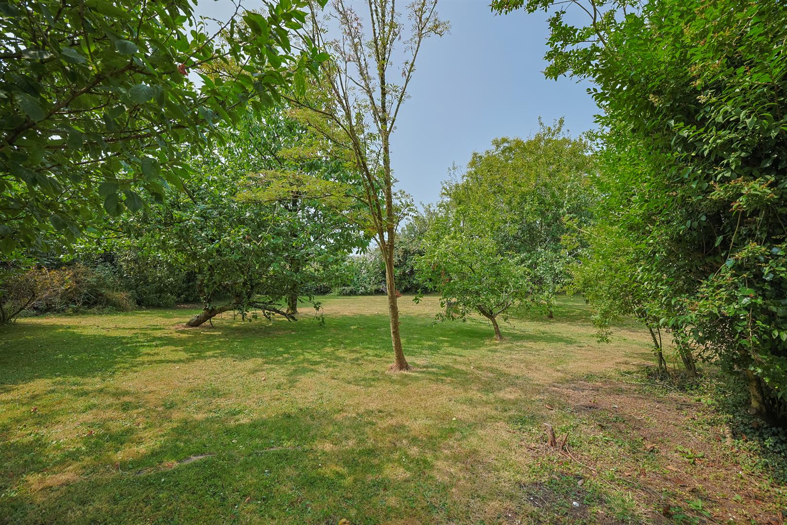 Berry, Reynoldston, Swansea, SA3 1BB